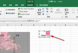 excel插入视频
